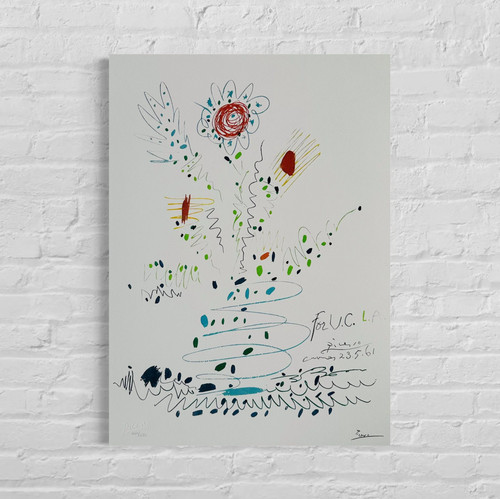 Pablo picasso fiori 1961 - picasso,