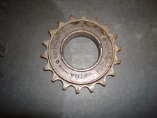 Ruota libera / Pignone, Regina