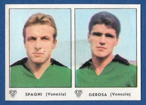Figurina calciatori panini - figurina,