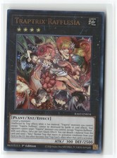 Traptrix Rafflesia (PUR)