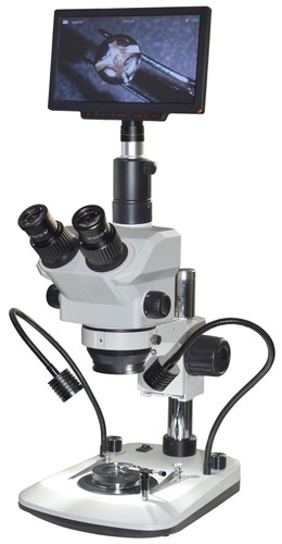 Microscopio stereo darkfield - microscopio,
