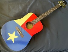 takamine chitarra acustica
