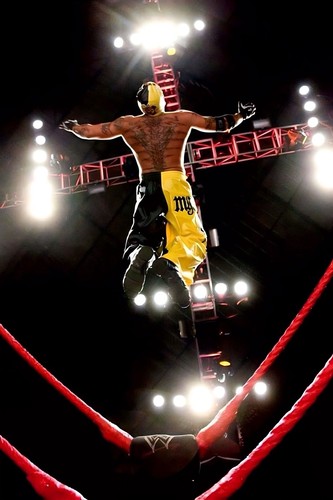 Poster wwe gigante x36 - wwe,