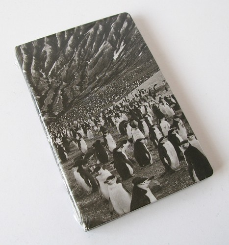 Sebastiao salgado penguins - salgado,