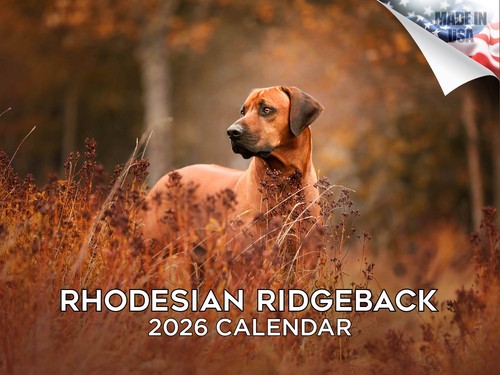 Rhodesian ridgeback calendario - ridgeback,