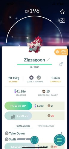 Shiny galarian zigzagoon galar - shiny,