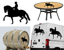 CAVALLO Andaluso, Adesivo In