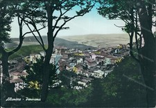 cz288 cartolina allumiere