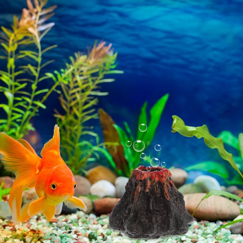Decorazione acquario ornamento - decorazione,