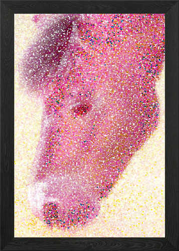 Pony dots framed wall - pony,