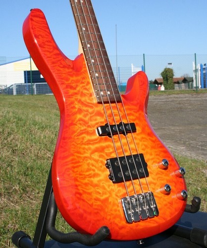Acepro edel bass corde - bass, 4