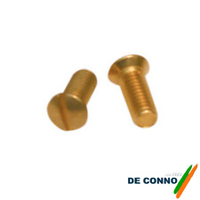 Viti ottonate per placche e coprinterruttori 9 millimetri (10 pezzi)