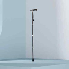 Bastone da Passeggio Maniglia