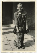 71/410 FOTO - DACCHS HOUND