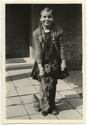 410 foto dacchs hound - foto,