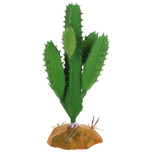 Décor reptile pour - ,
