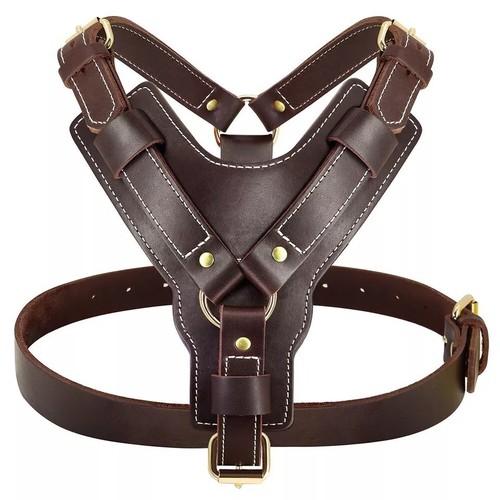Imbracatura per cani - imbracatura,