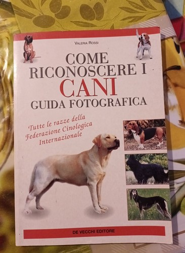 Valeria rossi come - valeria,