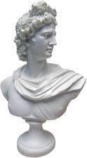 Apollo Belvedere Busto Statua