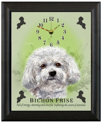Bichon frise regalo - ,