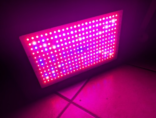 Grow light for - light, indoor