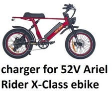 🔥Smart Charger for 52v
