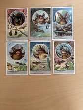 LIEBIG-SANGUINETTI -ANNO1955 - N 1616- Non Compare Scritta “RIPRODUZIONE VIETATA