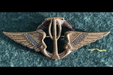 distintivo pin Spilla Aquila