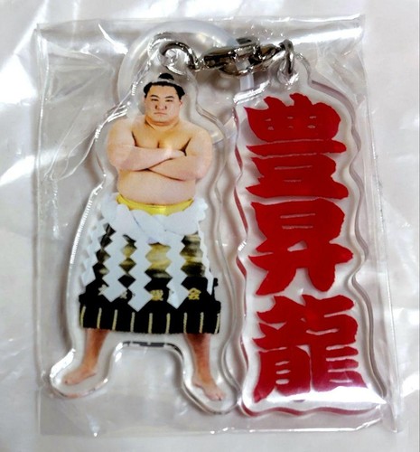 Sumo wrestling charm hoshoryu - charm,