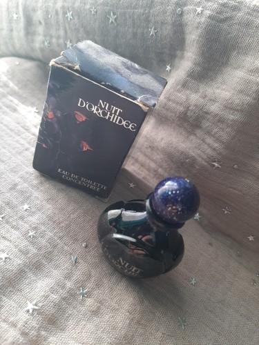 Miniature nuit orchidée - miniature,