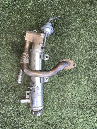 Radiatore scambiatore egr audi - scambiatore,