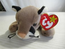 TY BEANIE BABY CANYON 5-29-98