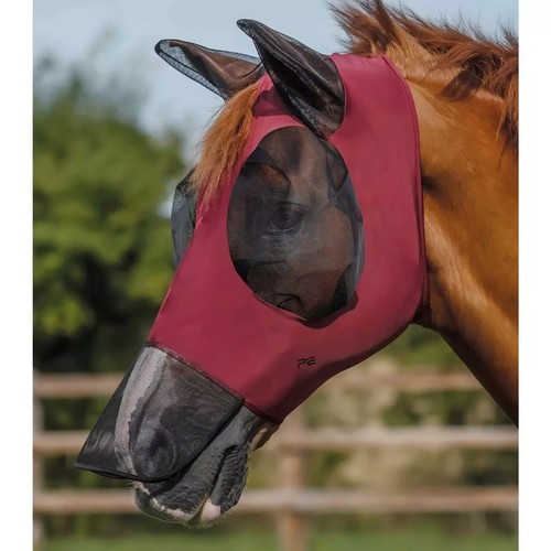 Premier equine comfort tech - comfort,