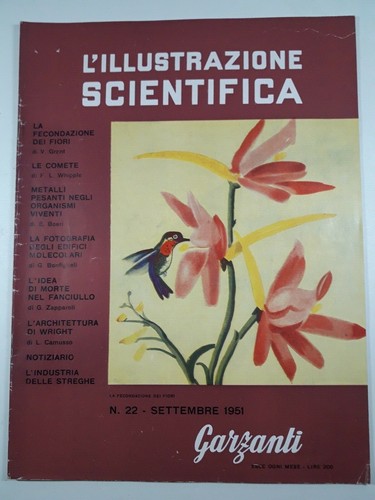 Illustrazione scientifica - l'illustrazione,
