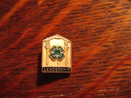 Spilla bavero leadership - , 4h