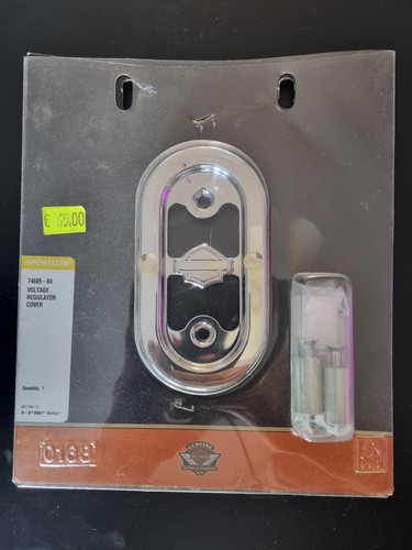 Cover regolatore di - (100),