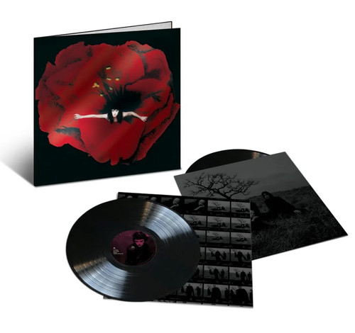 The smashing pumpkins adore - smashing,