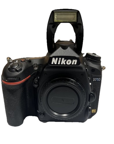 Nikon d750 megapixel - nikon, 24,3