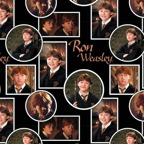 Trapuntino harry potter ron - harry,