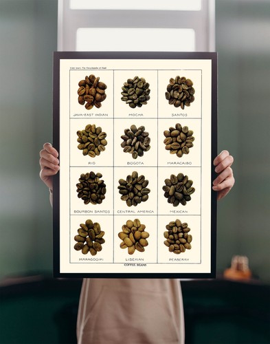 Illustrazione chicchi - , di