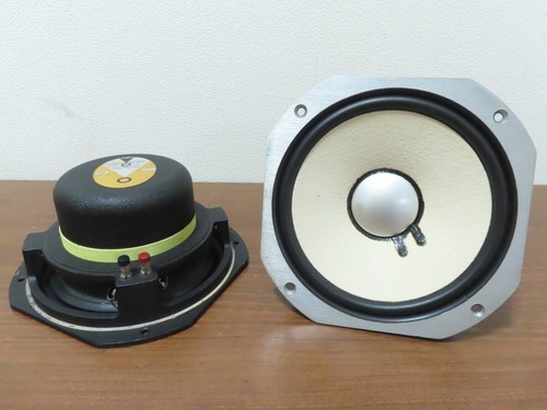 Coppia trasduttori woofer