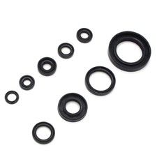 Kit Guarnizioni Olio Motore