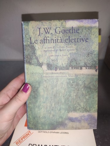 Affinità elettive libro - affinità,