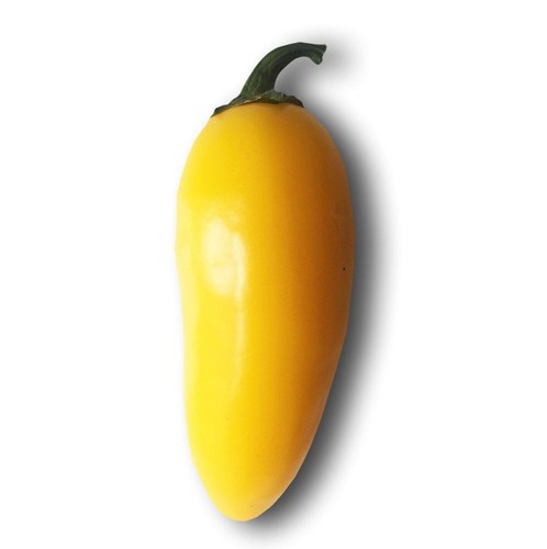 Jalapeño giallo semi - jalapeÑo,