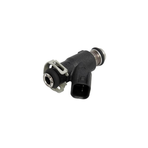 Delphi 250 iniettore - 250,