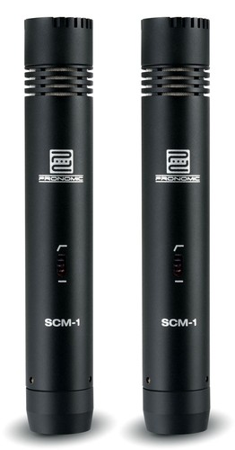Microfono professionale stereo