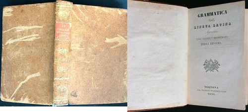 Grammatica della lingua - grammatica,