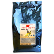 CANARY PASTONE MANTENIMENTO