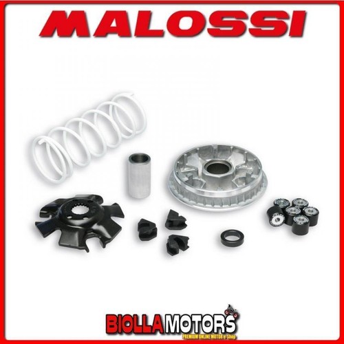 5111324 variatore malossi - 5111324,