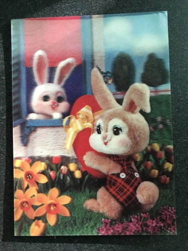 Giant rabbit conigli giganti - rabbit,